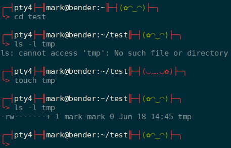 Bash Prompt Example